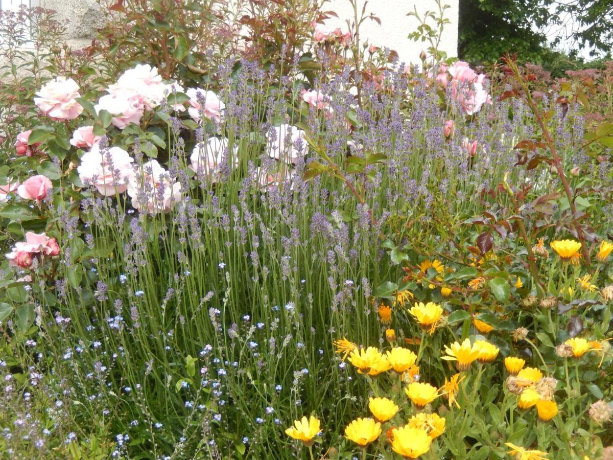 Le Tregonnec, Pres De Morlaix, Roscoff Bed & Breakfast Plouvorn Luaran gambar