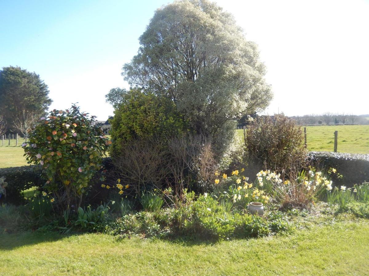 Le Tregonnec, Pres De Morlaix, Roscoff Bed & Breakfast Plouvorn Luaran gambar